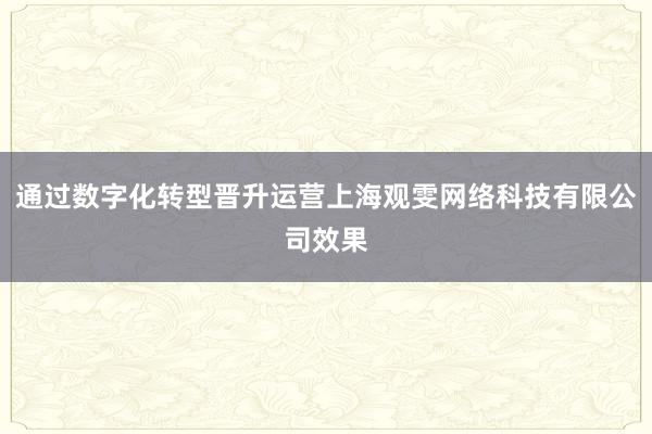 通过数字化转型晋升运营上海观雯网络科技有限公司效果