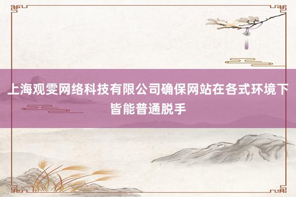 上海观雯网络科技有限公司确保网站在各式环境下皆能普通脱手